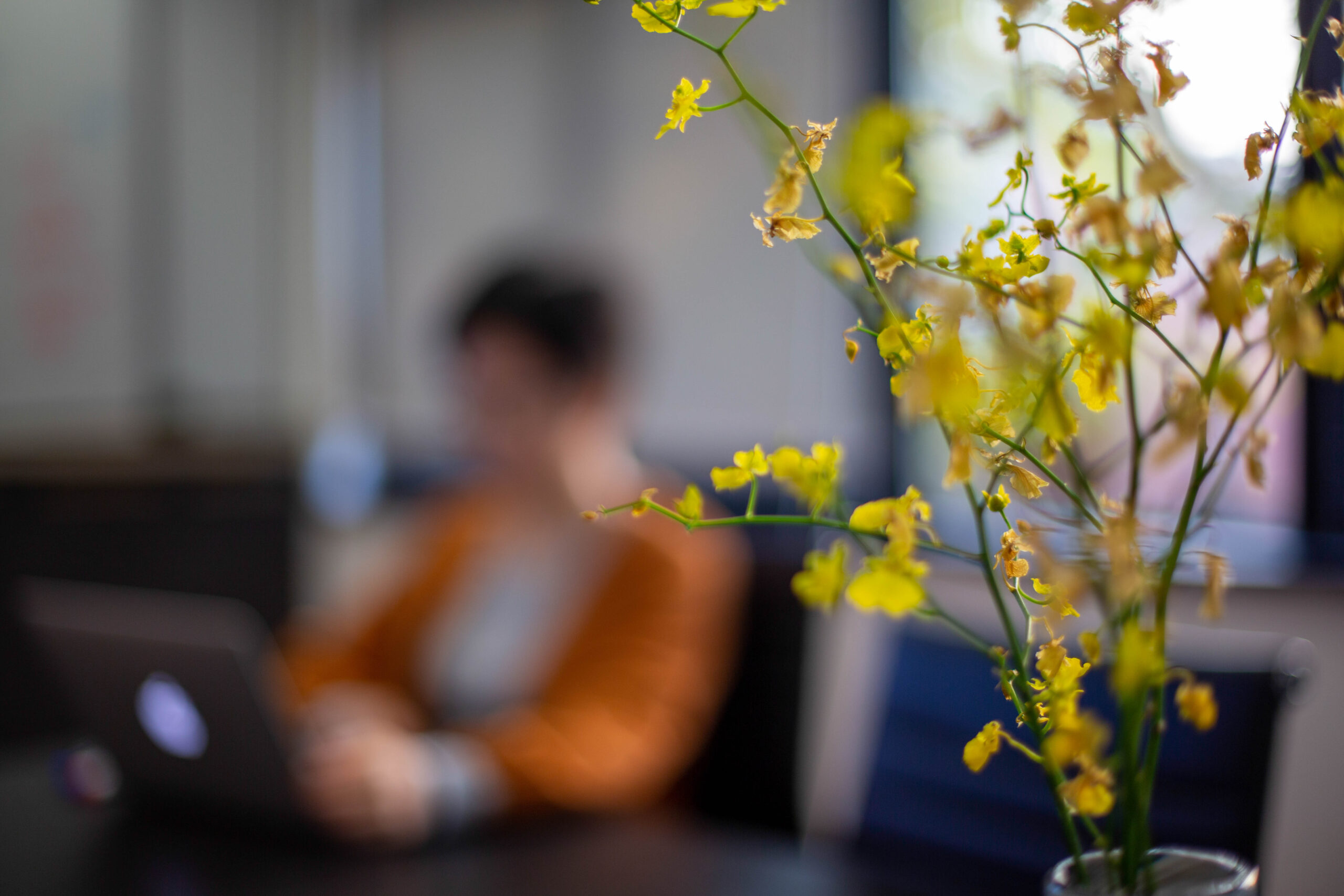 ANKEN OFFICE